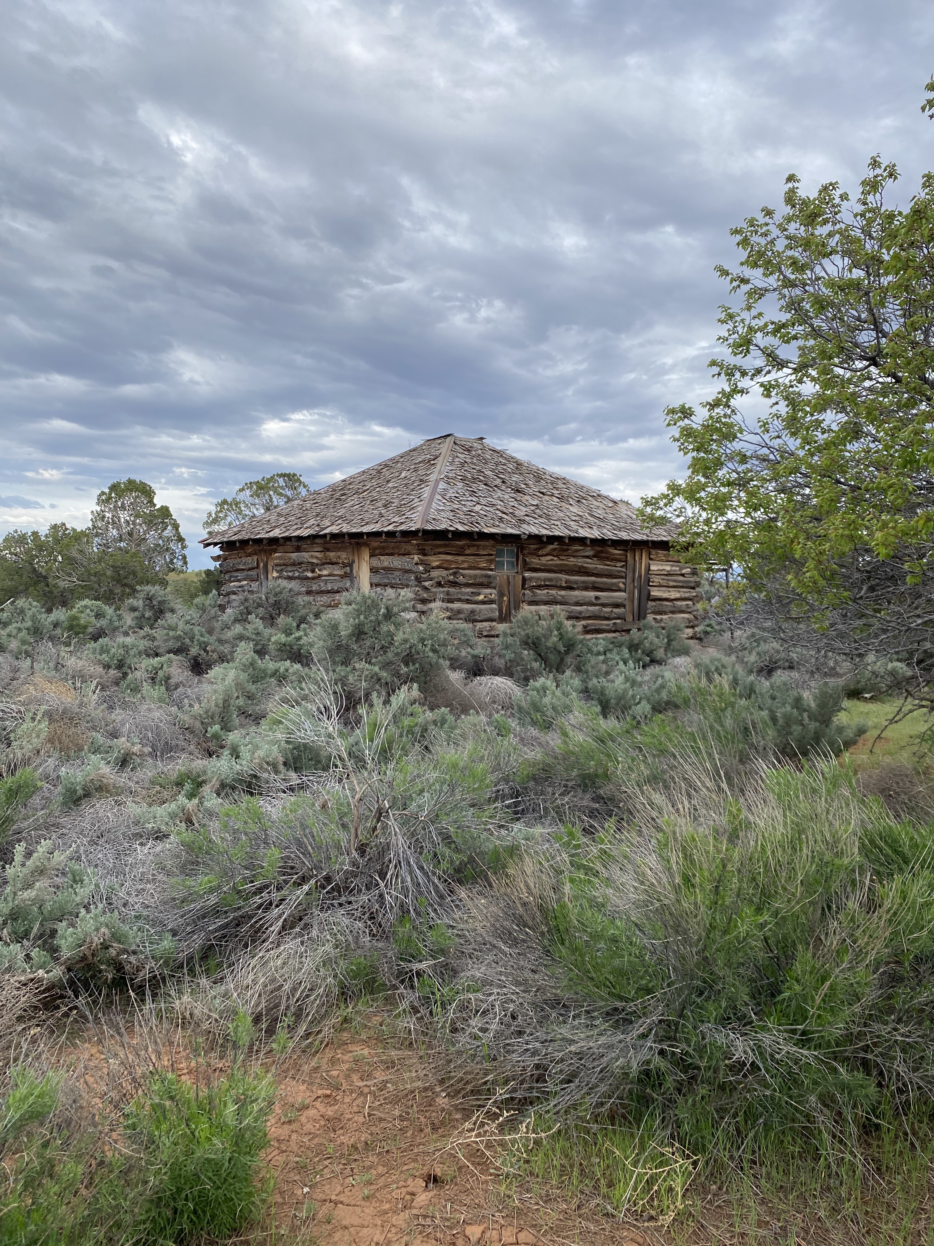 Canyon Springs homestead
